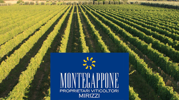 Azienda Agraria Montecappone VINI